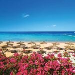 Sharm el Sheikh Reef Oasis 21/12/2025