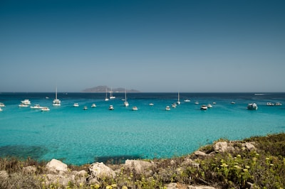 favignana1